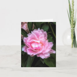 Agradecimento Peony @ Stenton House Museum & Garden Cartão de No