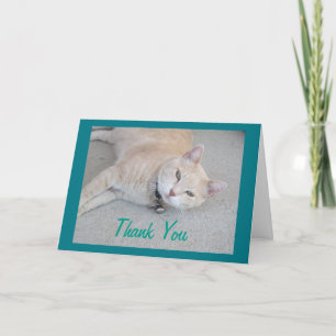 Agradecimento Romeo O Gato Obrigado Cartão De Saudação
