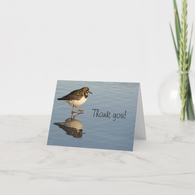 Agradecimento Sandpiper Bird Obrigado Cartão de Saudação (Frente)