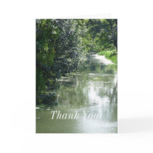 Serene River Voando Obrigado Cartão de Saudação