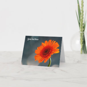 Agradecimento Solteiro Orange Gerbera - Cartão de Saudação