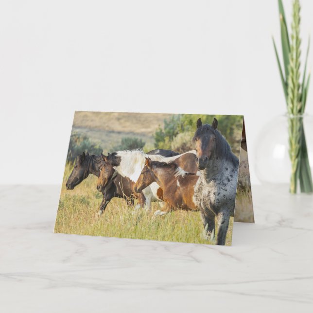 Agradecimento Takini e seu Cartão de Saudação Familiar (Frente)