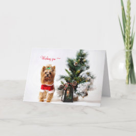 AGRADECIMENTO UM CARTÃO DE NATAL YORKIE PARA QUALQUER UM
