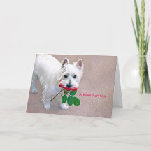 "Um Rosa para ti", cartão de boas-vindas