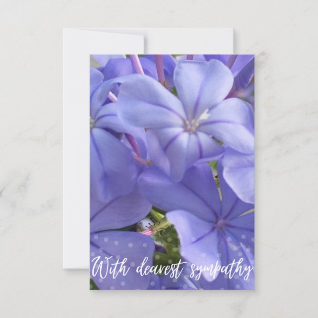 Agradecimento Uma dica de cartão Z "com mais simpatia" (Frente)