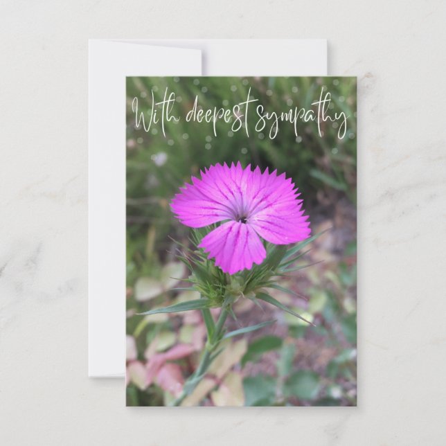 Agradecimento Uma dica de Z cartão "com mais simpatia" (Frente)