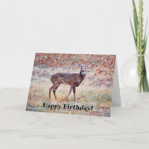 Agradecimento Wild Deer Buck Bonito Cartão de Aniversário do Pun