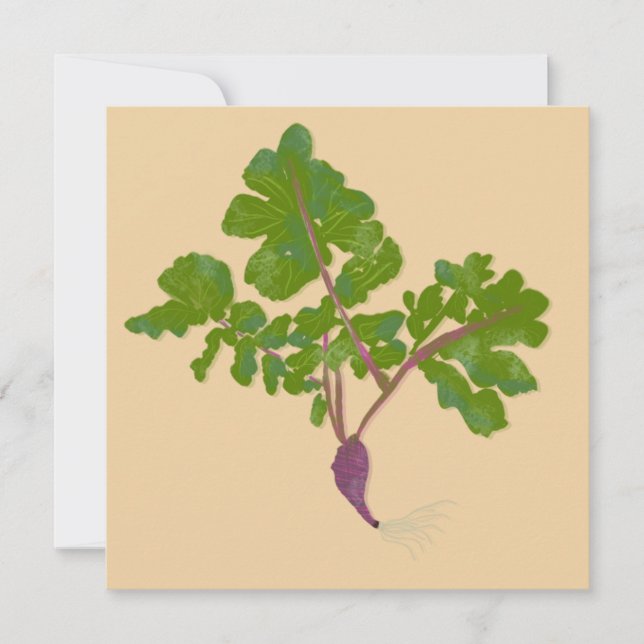 Agricultor Nabo de Cenoura Plantas Jardinagem (Frente)