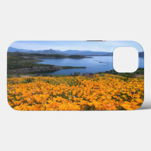 Água   Lago California Com Poppies Ouros