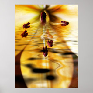 Água Lillium Impressão