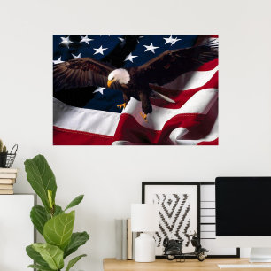 Águia americana 4o do poster 15 de julho