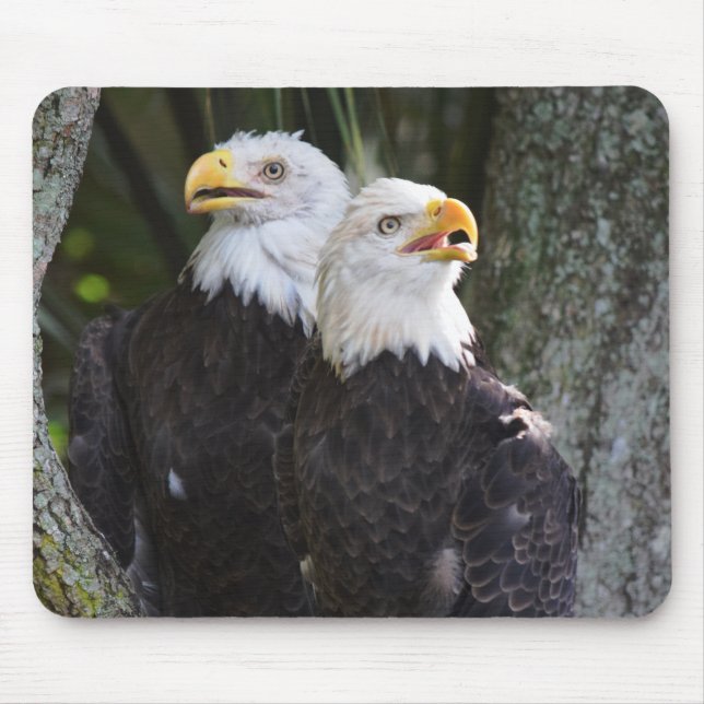 Águia americana americana Mousepad (Frente)