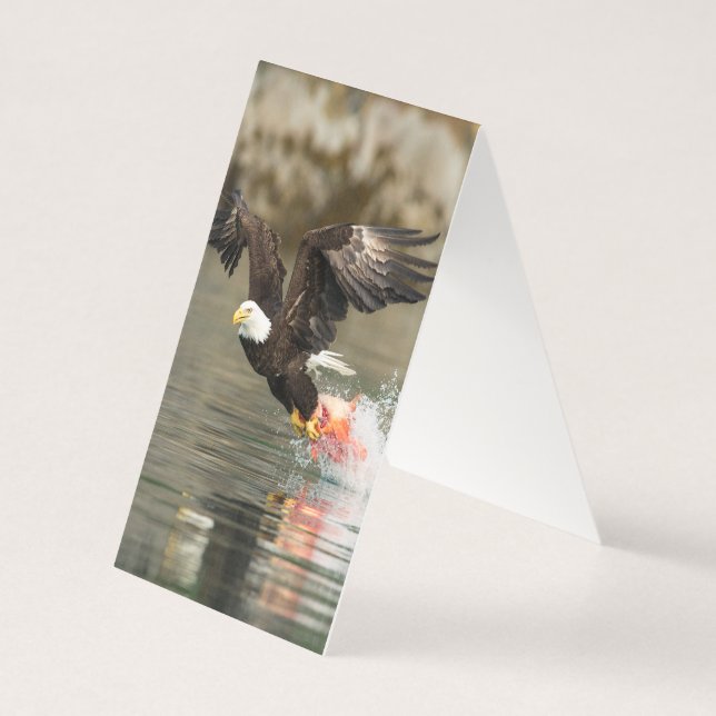 Águia Balda Explosiva (Verso)