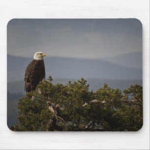 Águia Balda - Mousepad