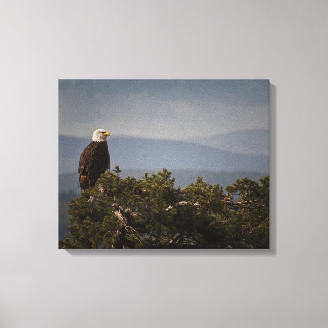 Águia caida na Canvas superior da árvore (Frente)