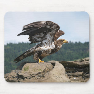 Águia caida pronta para decolagem - mouse pad