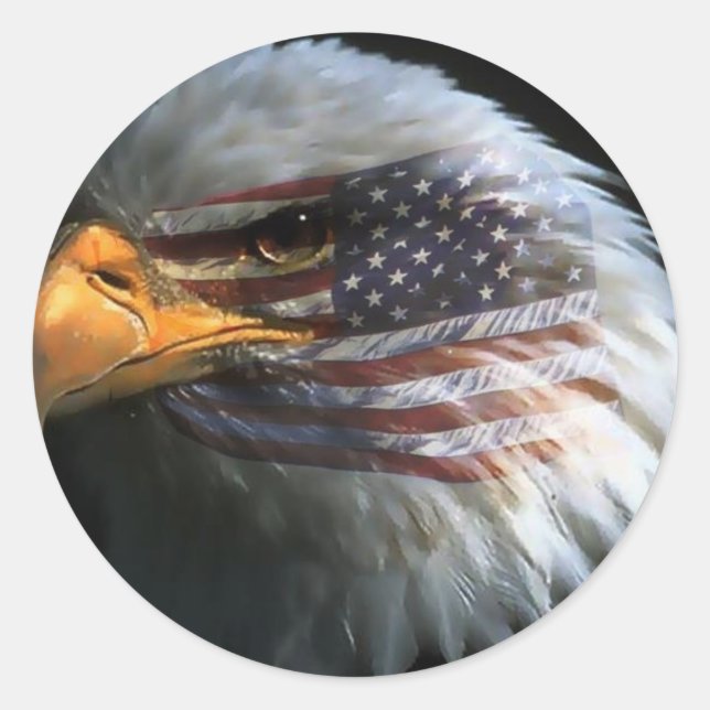 Águia-careca americana com autocolantes de bandeir (Frente)