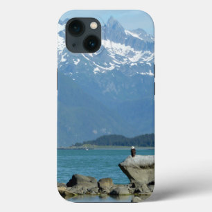 Águia-careca em Skagway Alasca