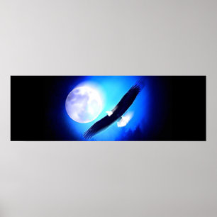 Águia em Voo e Impressão de Lua Cheia