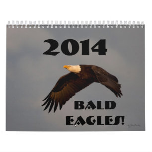 Águias americanas 2014 do calendário de parede d