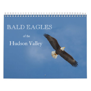 Águias Baldas do Calendário do Vale do Hudson