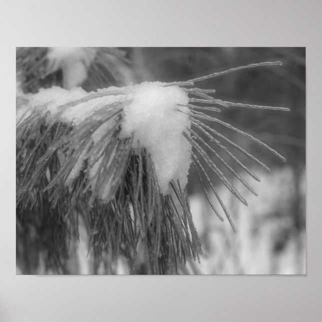 Agulha de pinheiro de gelo preto Impressão branco- (Frente)