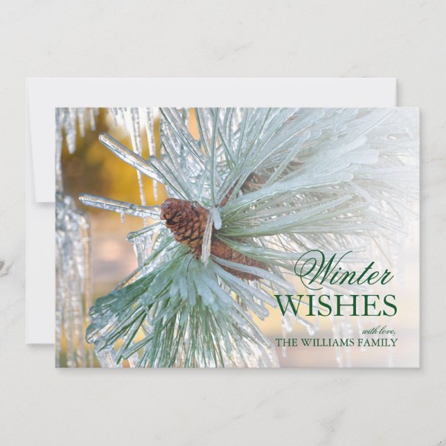 Agulhas de pinheiro em gelo (Frente)