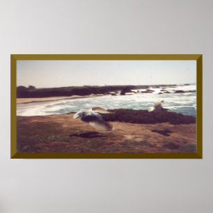 Agulhas Na Poster De Voo