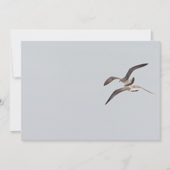 Agulhas voadoras (Frente)