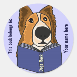 AHL- Sheltie que lê etiquetas de um livro