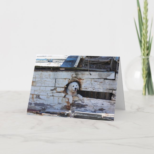 Ahoy cartão amigo (Frente)