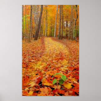 Ainda verde, Impressão