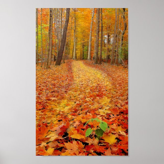 Ainda verde, Impressão (Frente)