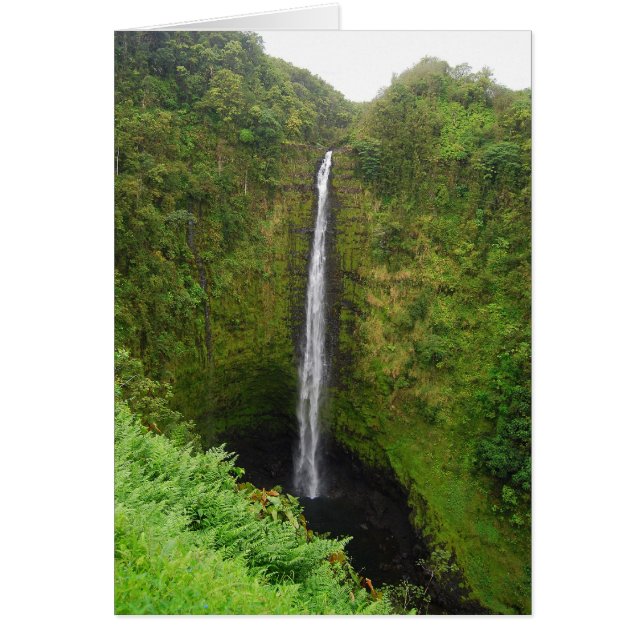 Akaka Falls, Havaí, Cartão (Frente)