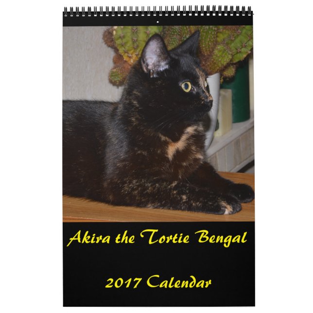 Akira, o Calendário Médio de Tortie Bengal 2017 (Capa)