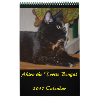 Akira, o Calendário Médio de Tortie Bengal 2017