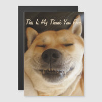 akita japonesa engraçada com obrigado de sorriso b