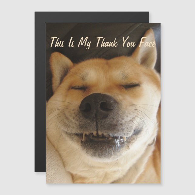 akita japonesa engraçada com obrigado de sorriso b (Frente/Verso)
