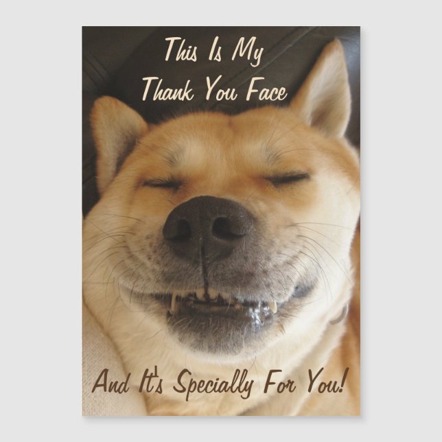 akita japonesa engraçada com obrigado de sorriso b (Frente)