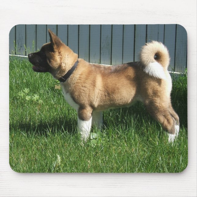 Akita mousepad (Frente)