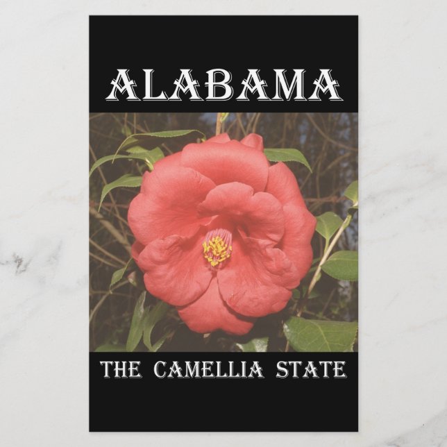 Alabama Camellia (Vermelho) (Frente)