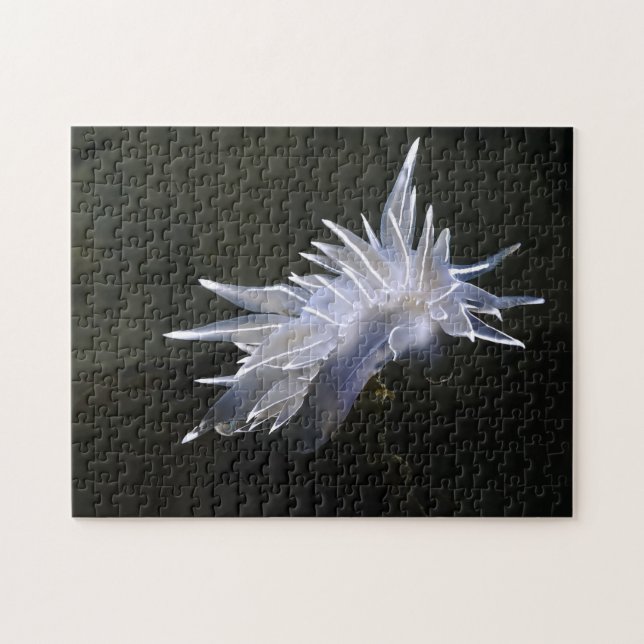 Alabaster Nudibranch Quebra-cabeça (Horizontal)