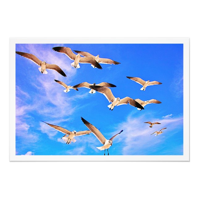 Alargamento de Fotografias (Frente)