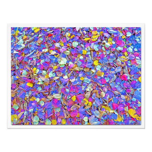 Alargamento de Fotografias (Frente)