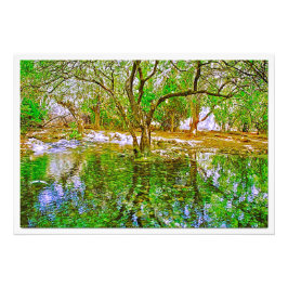 Alargamento de Fotografias