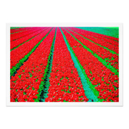 Alargamento de Fotografias