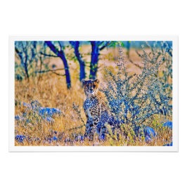 Alargamento de Fotografias