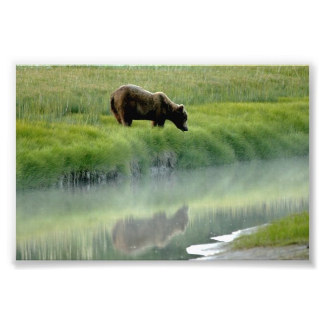 Alargamento de Fotografias (Frente)