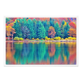 Alargamento de Fotografias