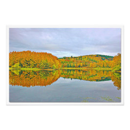 Alargamento de Fotografias